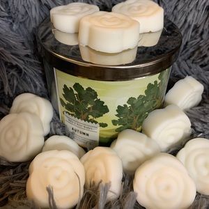 Bath and Body Works Candle Wax Melts